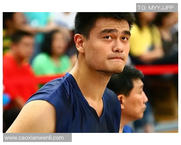 绥化姚明个人简历及职业生涯成就分析与回顾